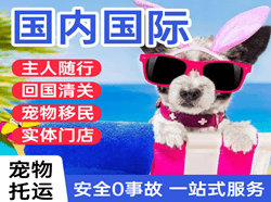 莫力达瓦旗航空空运国际宠物托运 【国